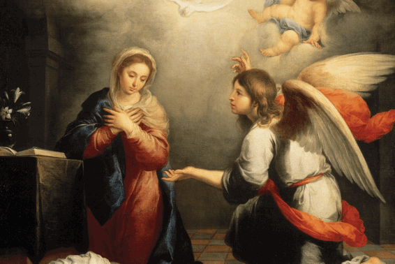 Salve, llena de gracia!: María nos enseña a vivir en la paz de Cristo
