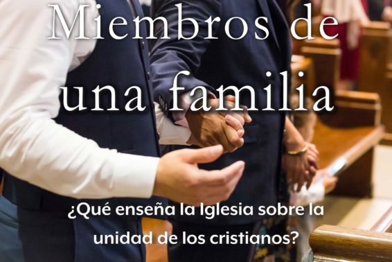 Miembros de una familia: ¿Qué enseña la Iglesia sobre la unidad de los cristianos?