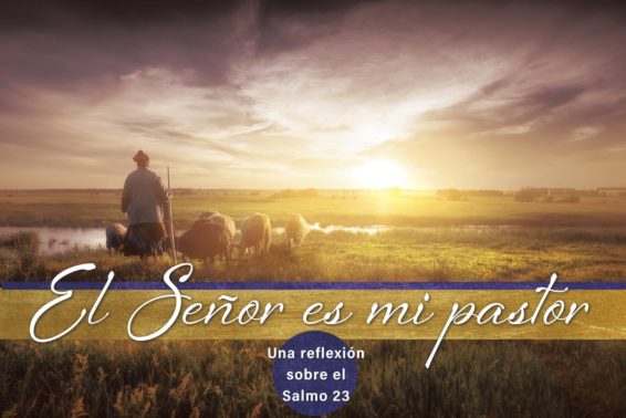 El Señor es mi pastor: Una reflexión sobre el Salmo 23